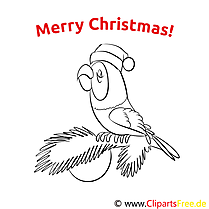 Merry Christmas Coloring Page parrot spruce branch