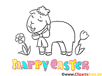 Paint pictures for Easter - sheep coloring picture