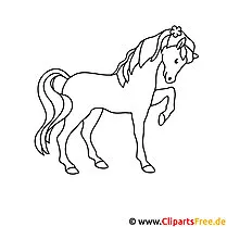 Pferd Window Color Bild gratis