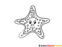 Starfish színező oldal