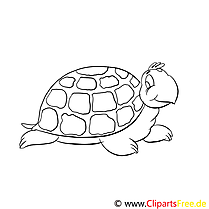 Schildkröte Ausmalbilder für Kinder gratis