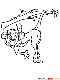 Maymun Boyama Sayfaları Bedava - Hayvanat Bahçesi Boyama Sayfaları