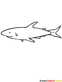 Pagina da colorare di squalo