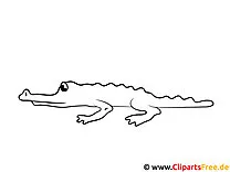 Krokodil Ausmalbild zum Ausdrucken