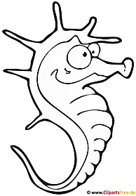 Морской конек раскраски - Зоопарк раскраски бесплатно